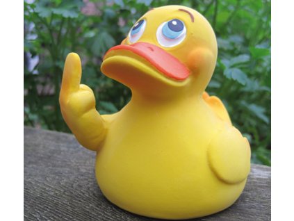 104 kachnicka stinkefinger duck lanco