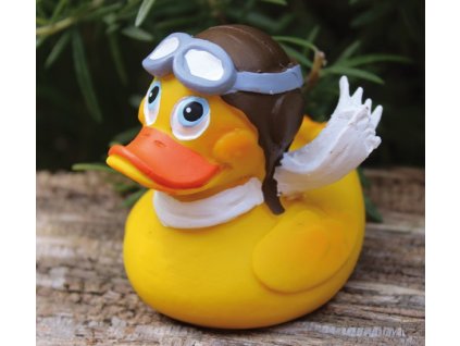 1311 kachnicka pilot duck lanco