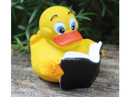 1353 kachnicka book duck lanco