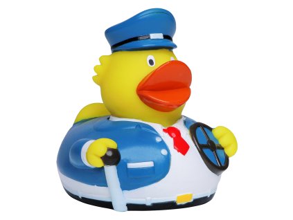 1752 3 kachnicka bus driver duck schnabels