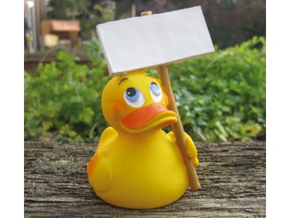 1883 1 kachnicka info duck lanco