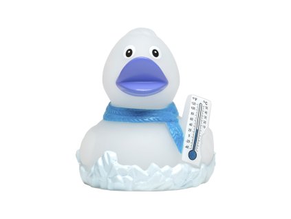 200 kachnicka frosty duck schnabels