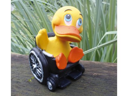 2324 kachnicka rollin duck lanco