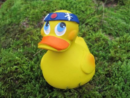 2327 kachnicka samurai duck lanco