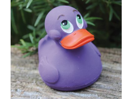 Kachnička Purple Duck Lanco