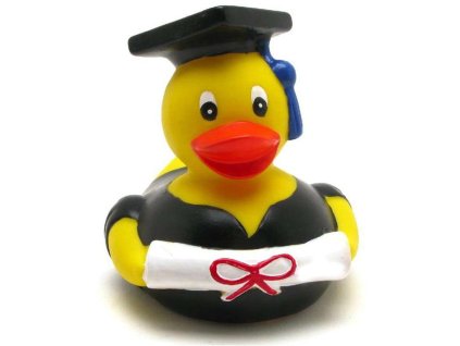497 kachnicka graduate duck yarto