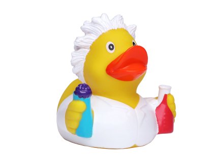 638 2 kachnicka chemist duck schnabels