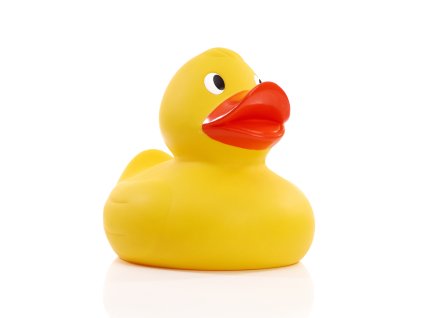 719 5 719 5 719 5 719 5 719 5 719 5 719 5 kachna xl yellow duck schnabels