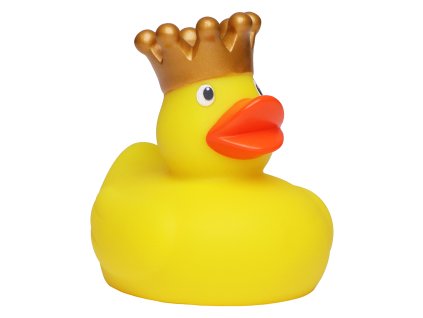 923 3 kachnicka king duck schnabels