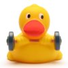 1784 1 1784 1 1784 1 1784 1 1784 1 1784 1 1784 1 kachnicka weightlifter duck schnabels