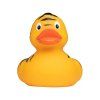 593 593 593 593 593 593 593 593 593 593 kachnicka tiger duck schnabels