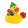 629 629 629 629 629 629 629 kachnicka birthday duck schnabels