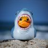 932 2 932 2 932 2 932 2 932 2 932 2 932 2 932 2 932 2 932 2 932 2 kachnicka jaws bruce tubbz boxed edition