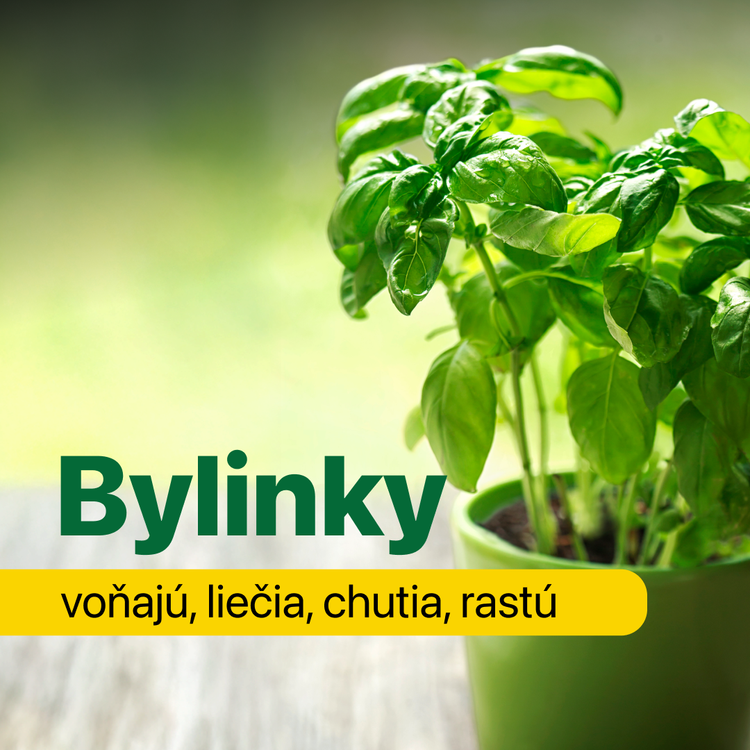 Bylinky