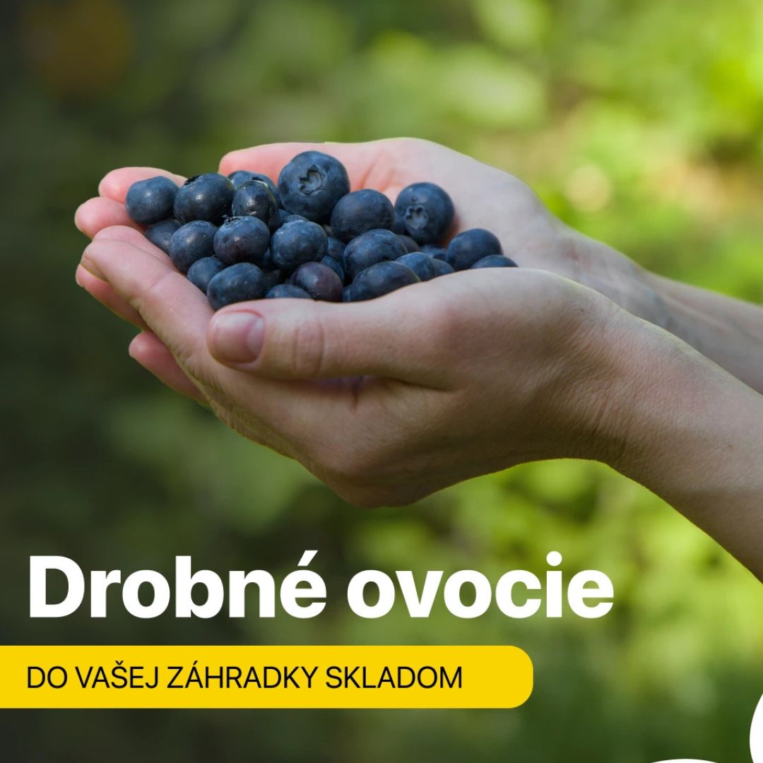 Drobné ovocie