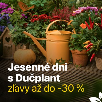 Jesenné dni - zľavy do 30%