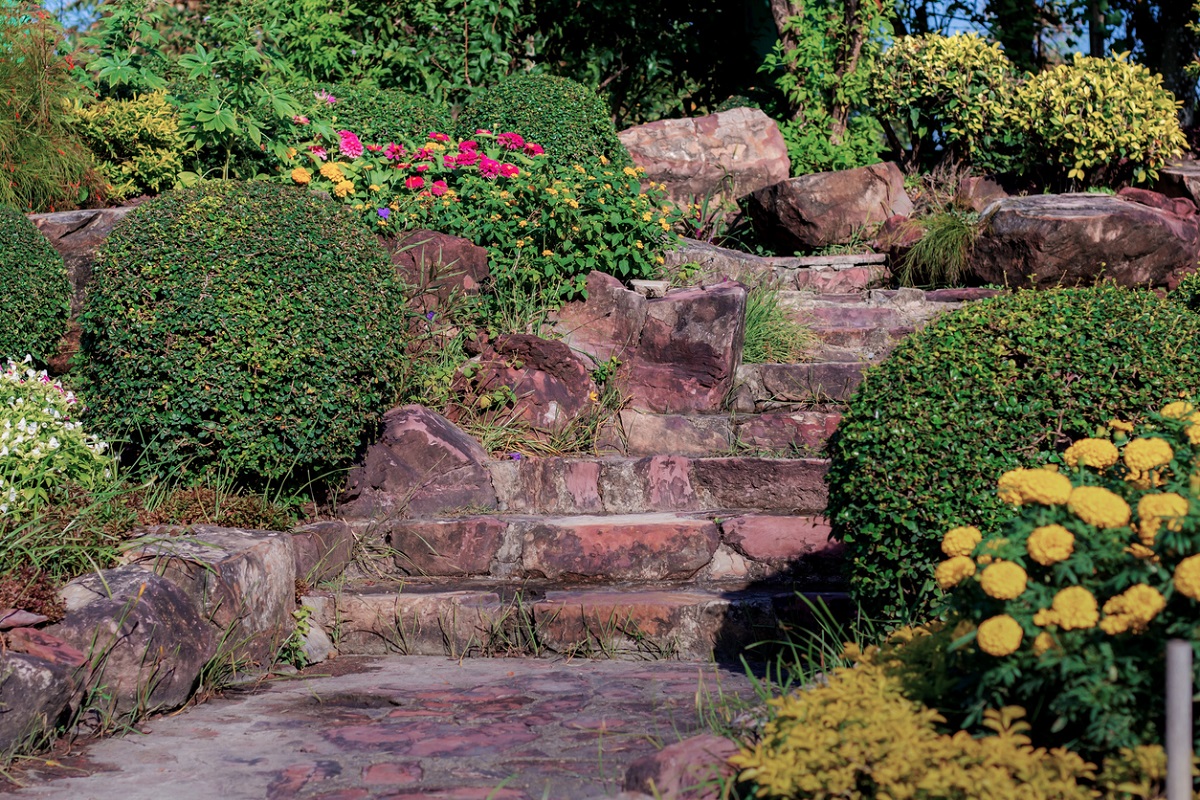 Rastliny na svah: ako skrotiť eróziu a mať svah plný kvetov