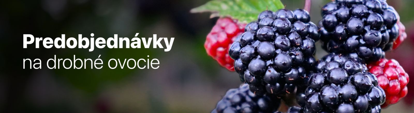 Drobné ovocie predobjednávky