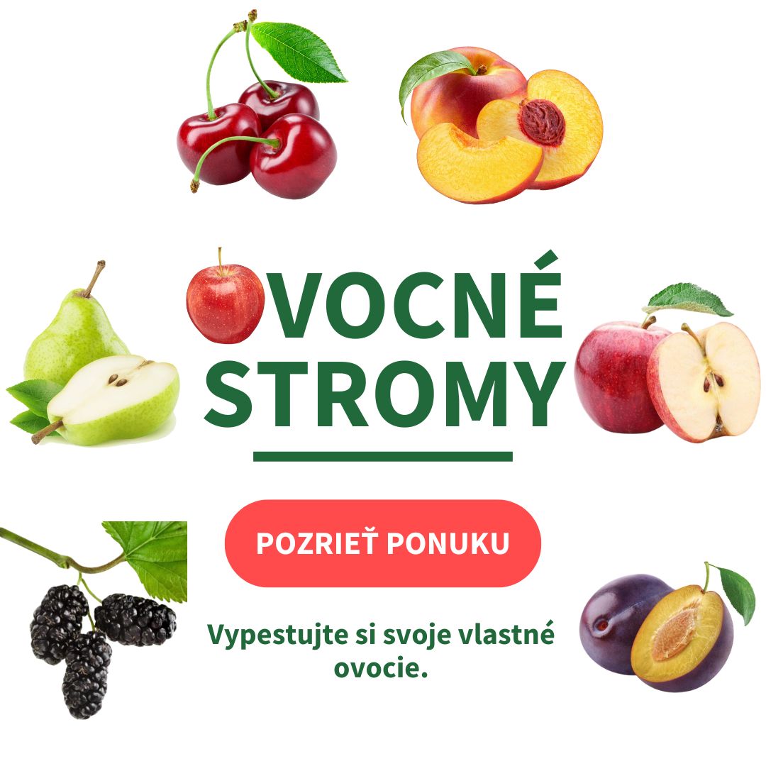 Ovocné stromy