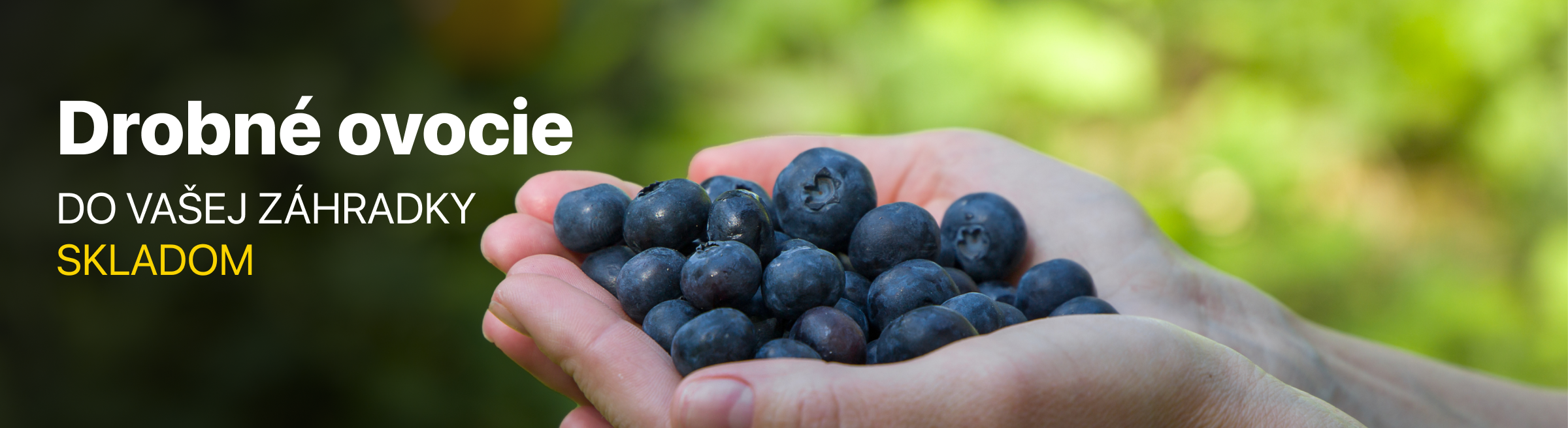 Drobné ovocie