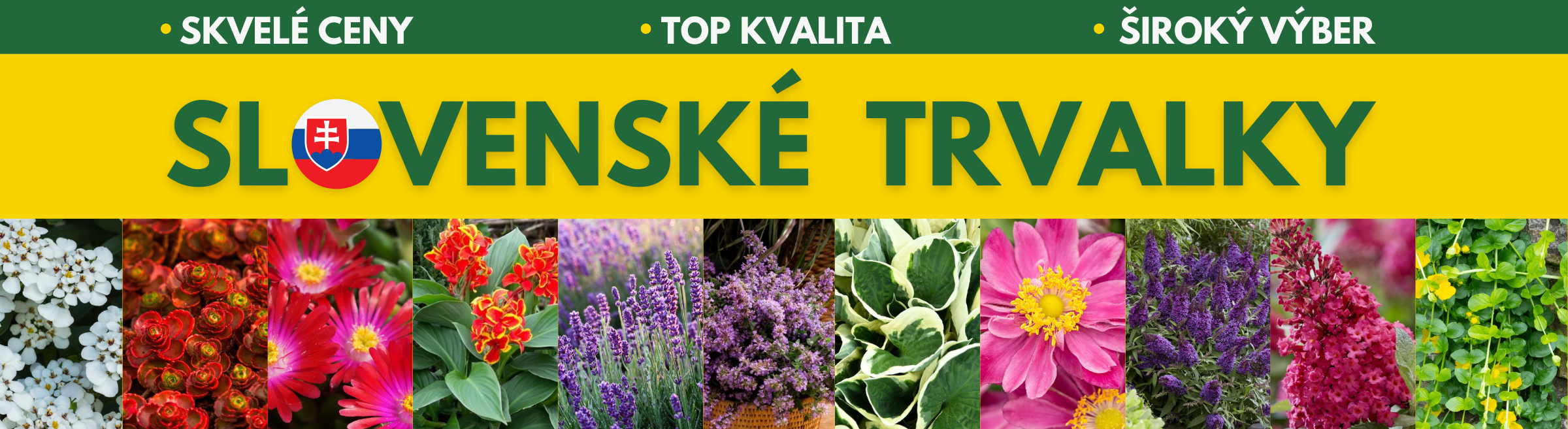 Slovenské trvalky