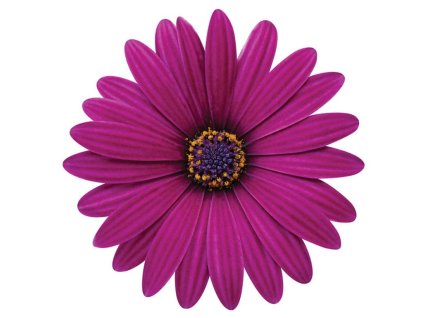 Dizajn bez názvu(174)