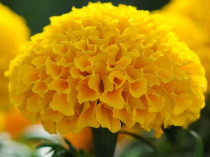 Dizajn bez názvu(269)