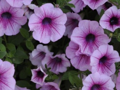 Untitled design 2024 05 01T204605.448