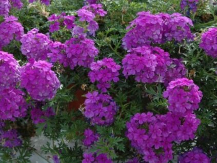 Untitled design 2024 05 01T215008.601