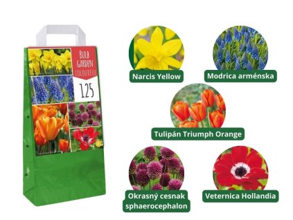Cibuľoviny MIX cibuľovín 5 odrôd oddelene balené 125 ks v balení Bulb Garden Colourful
