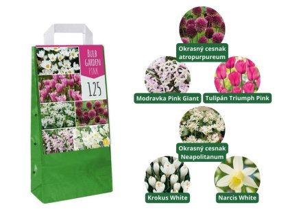 Cibuľoviny MIX cibuľovín do suchých záhrad 35 ks v balení A Bulb For Every Garden Dry Garden(6)