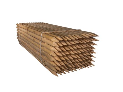 Untitled design 2024 09 10T173946.018