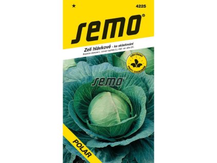 Untitled design 2025 01 26T142154.742