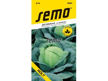 Untitled design 2025 01 26T141842.652