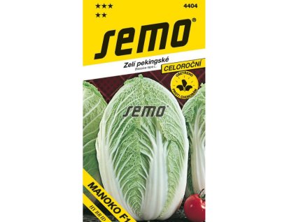 Untitled design 2025 01 26T144049.032