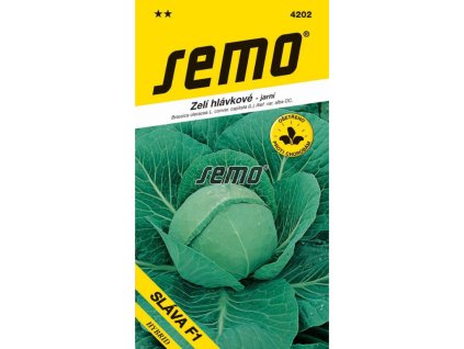 Untitled design 2025 01 26T131914.038