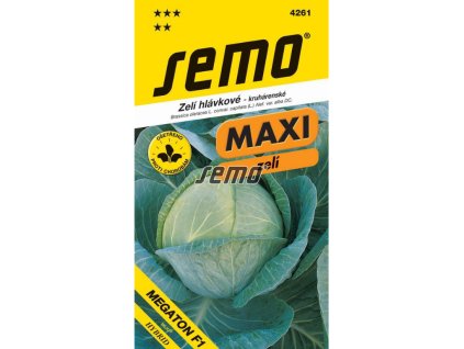 Untitled design 2025 01 26T141543.206