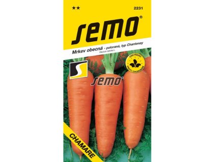 Untitled design 2025 01 27T191517.806