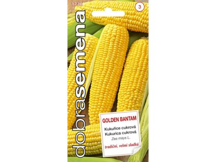 Untitled design 2025 01 26T185301.528