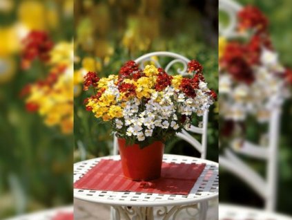 Dizajn bez názvu(258)