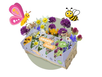 MIX cibuľovín 6 odrôd pre hmyz oddelene balené 50 ks v balení Sweet for Insects (6)