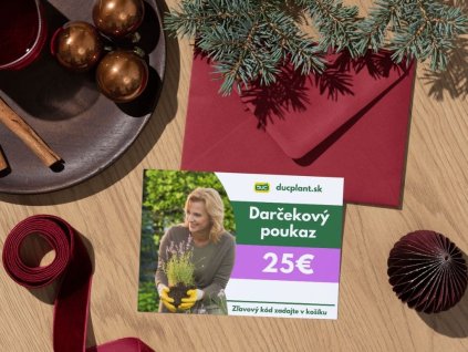 Elektronický darčekový poukaz v hodnote 25 EUR(1)