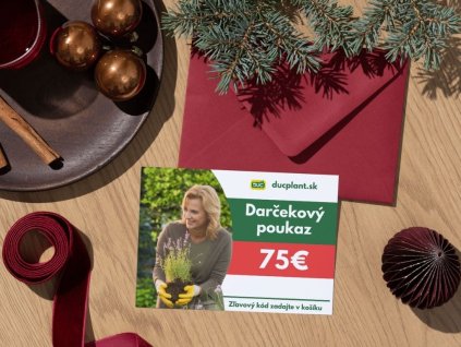 Elektronický darčekový poukaz v hodnote 75 EUR(2)