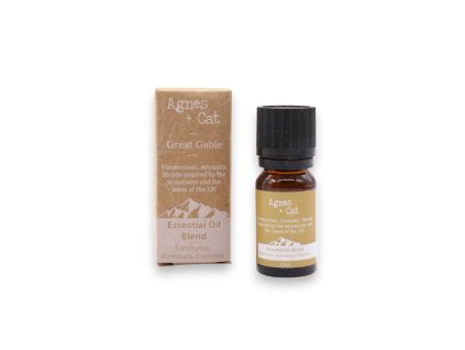 Vianoce Aróma a difuzéry(3)