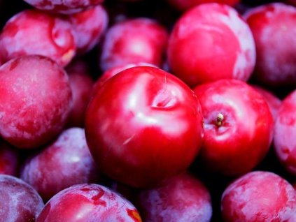 Ringlota broskyňová