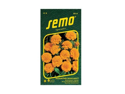 Semená Aksamietnica(4)