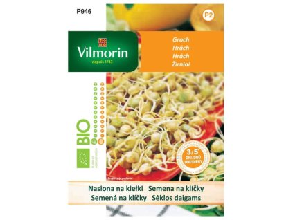 Semená Rukola na klíčky