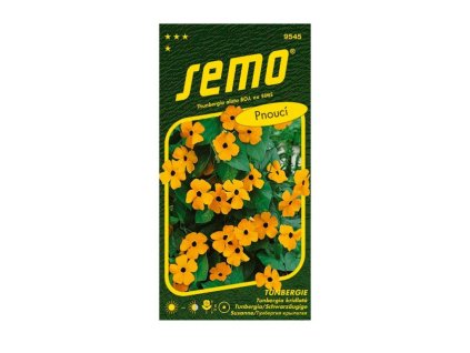 Semená Čiernooká Zuzana