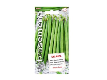 Semená Fazuľa Delinel