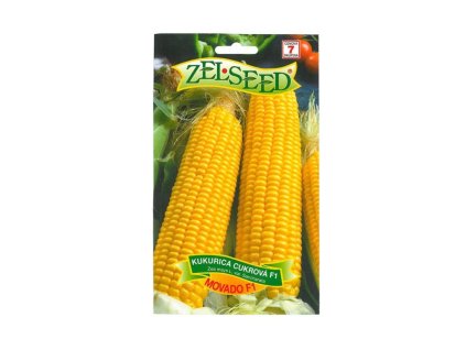Semená Kukurica